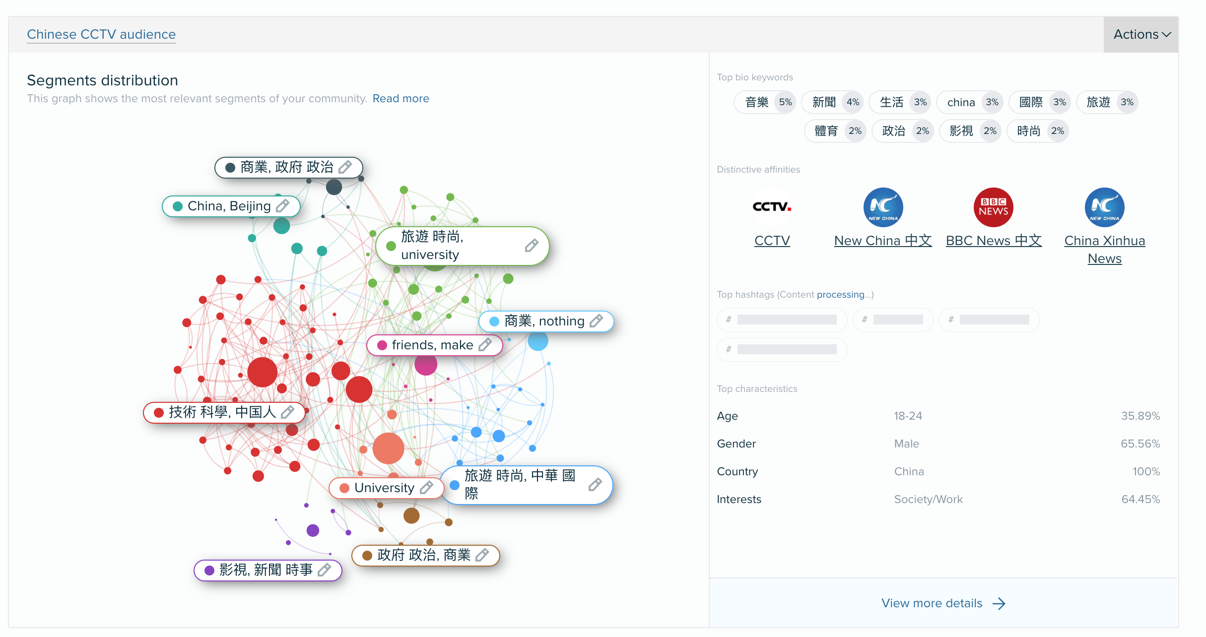 Audiense Insights - Automatic Segment names and most unique keywords - Support for non-western characters