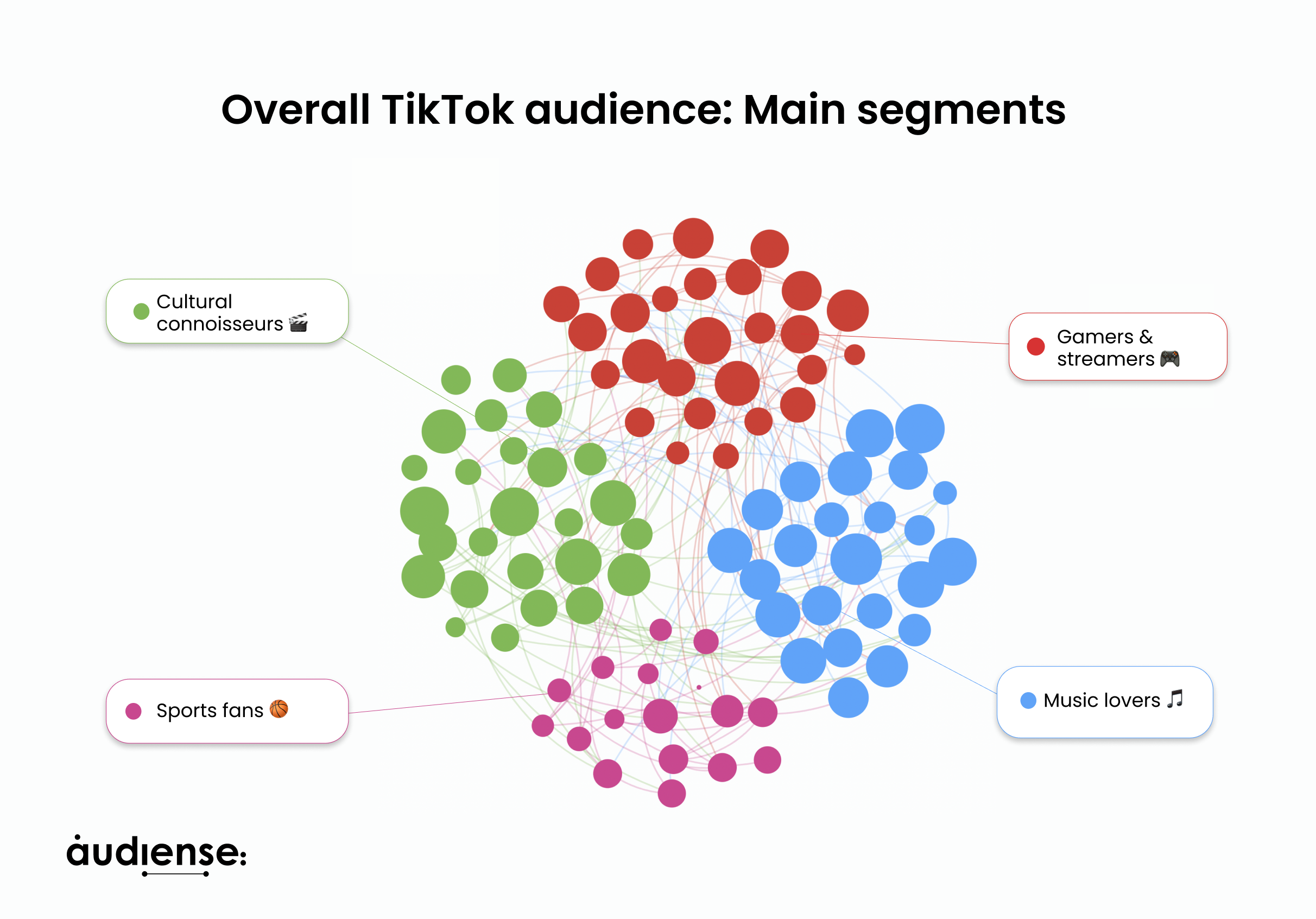 Overall TikTok audience: main segments