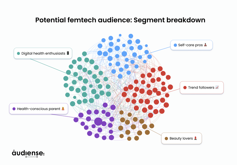 Audiense blog - Potential femtech audience_ Segment breakdown