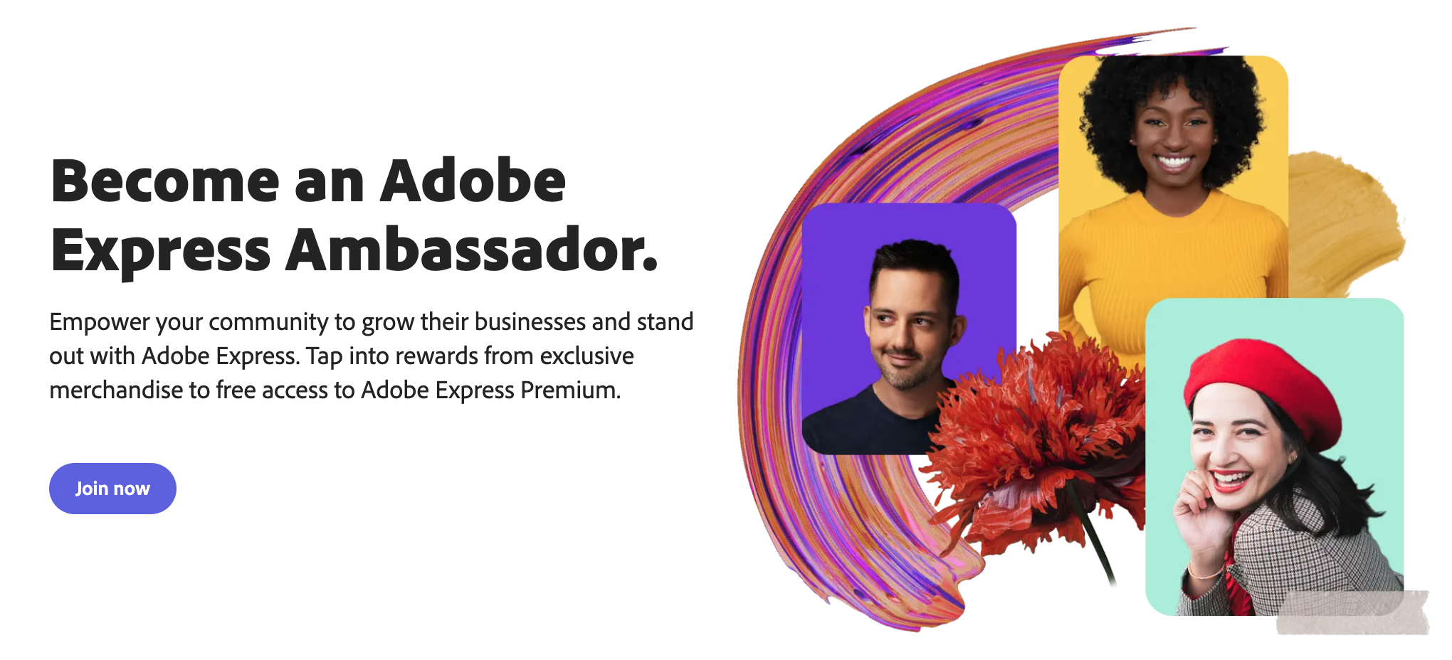 Audiense blog - programa de embajadores de Adobe
