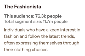 Audiense blog - image - "The fashionista" segment